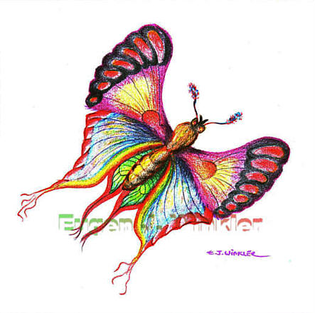 Schmetterling 2 - vergrern