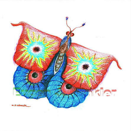 Schmetterling 3 - vergrern