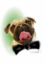 Eugen J. Winkler-Lilly-Digitalbild