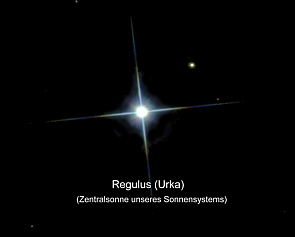 Regulus vergrern