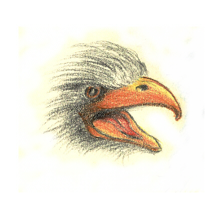Vogel - Zangenmaul