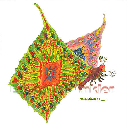COM der Riesenschmetterling - vergrern