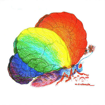Schmetterling 1 - vergrern